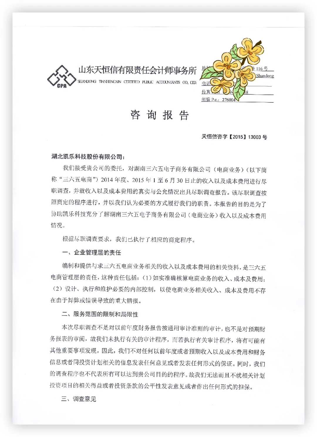 电商公司财务尽职调查报告