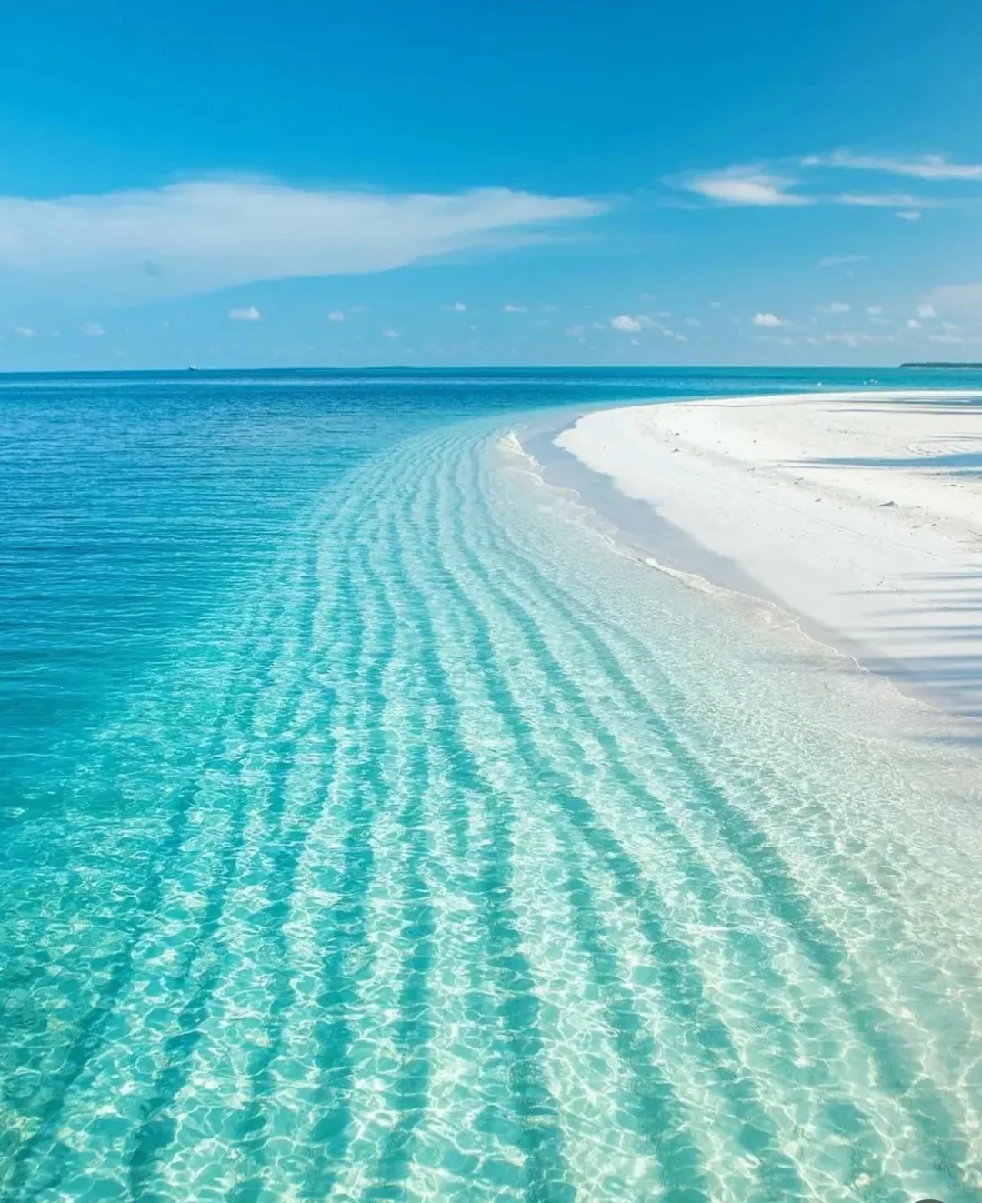 ToB市场人如何避免沦为销售牛马