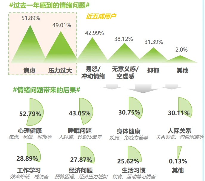 49页报告|2025年中国情绪疗愈行业研究报告