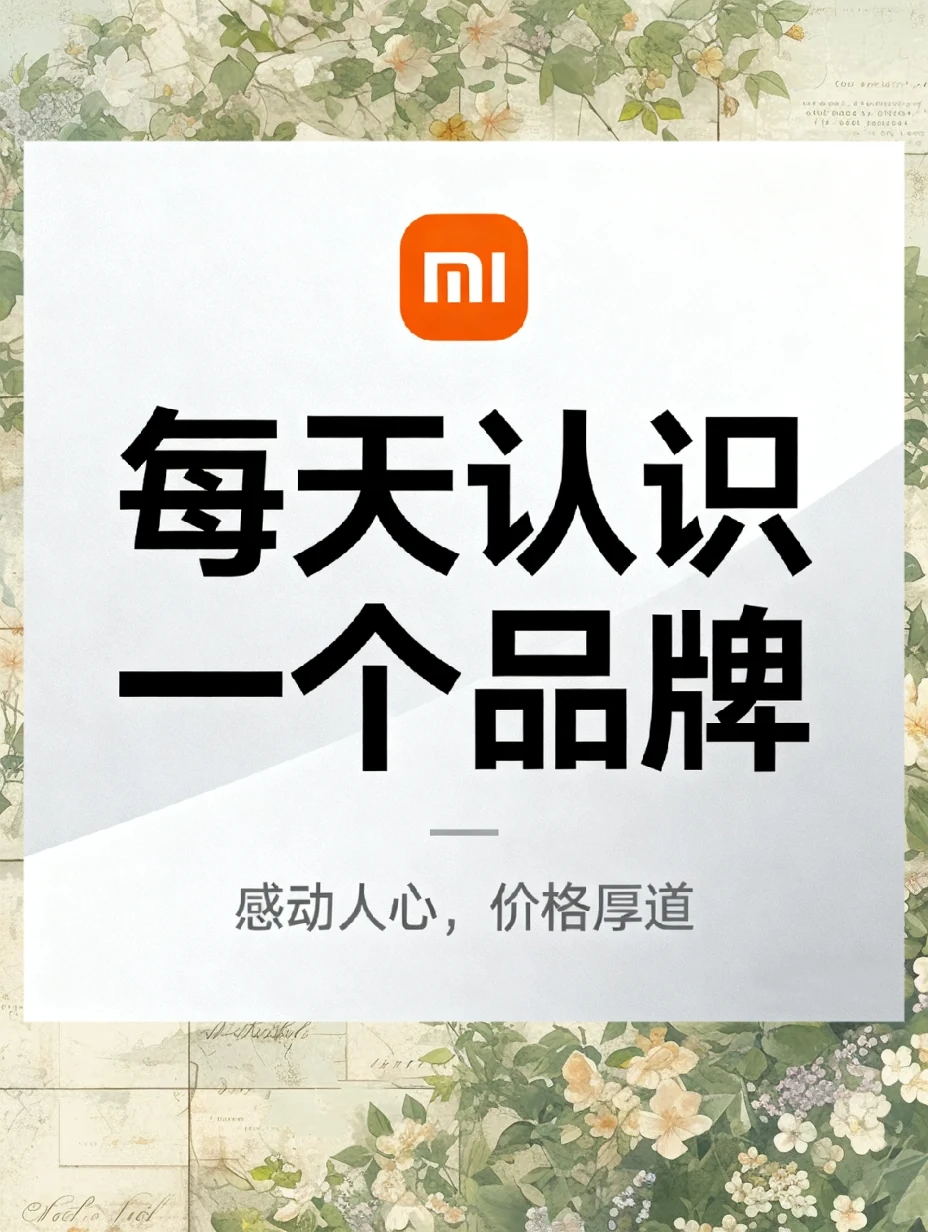 每天认识一个品牌之小米