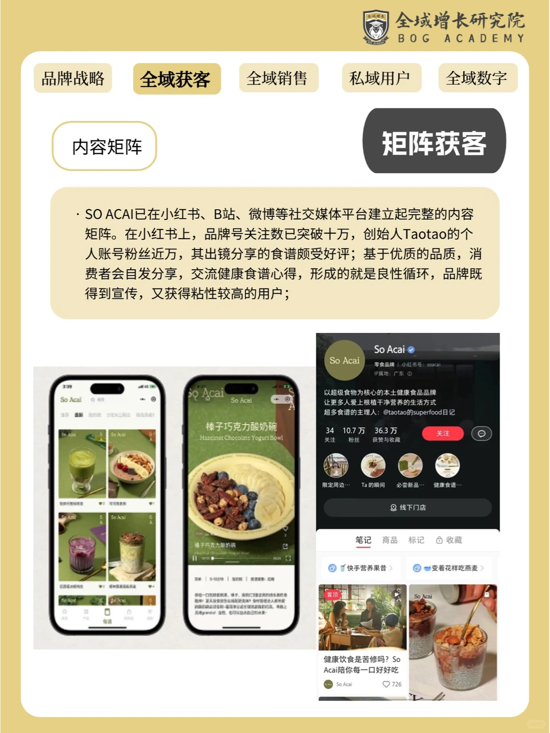 品牌案例 | So Acai 的全域增长模式分析