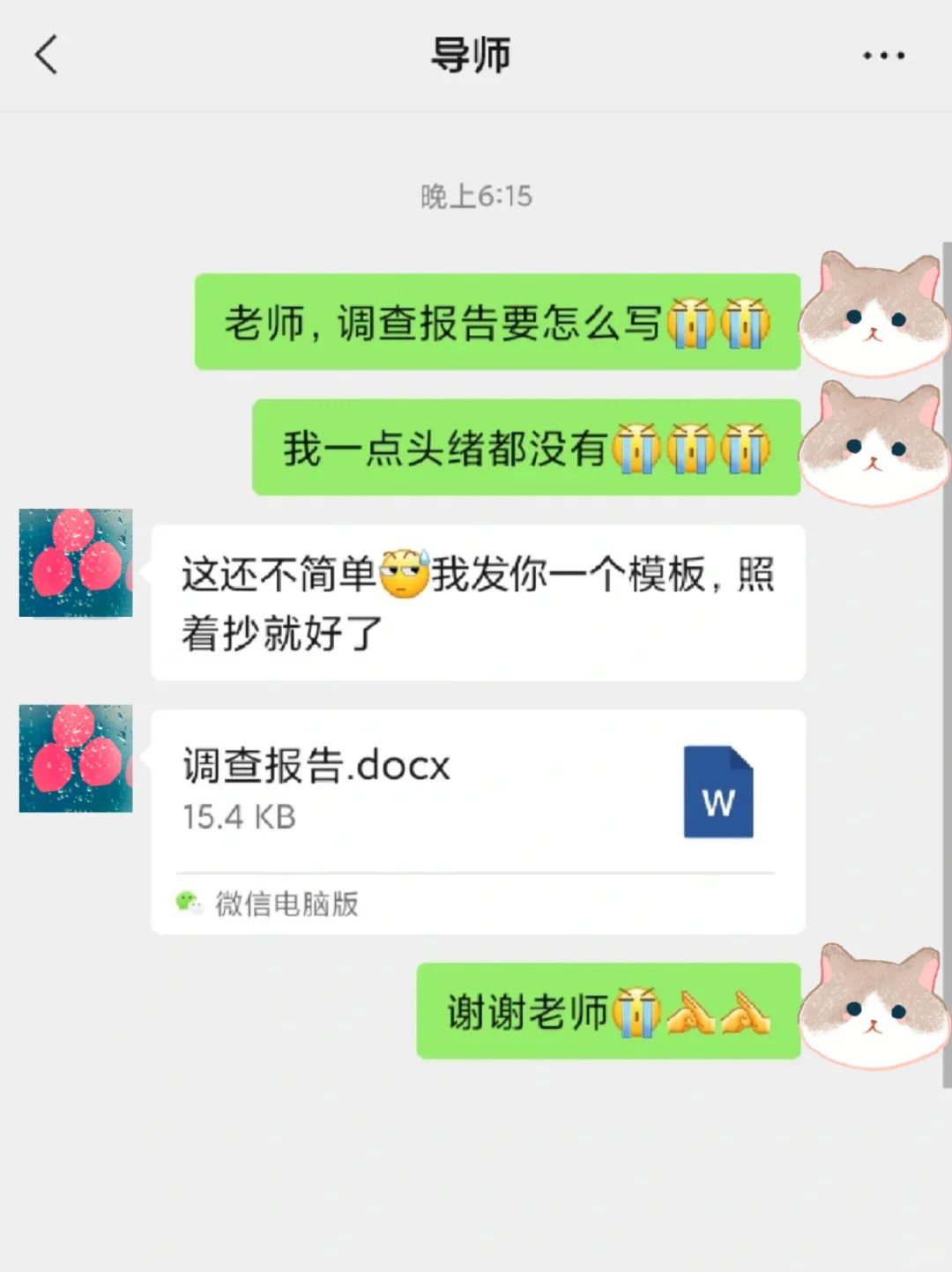 大学生能用上的社会调查报告模板❗✍