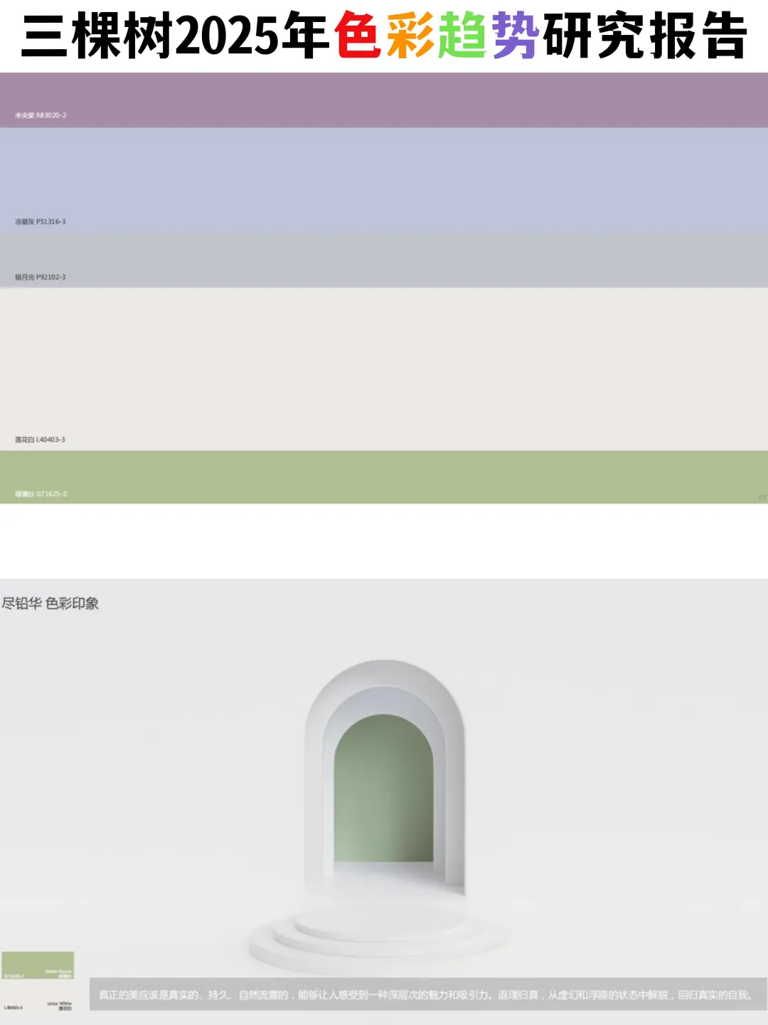 三棵树2025年色彩趋势研究报告