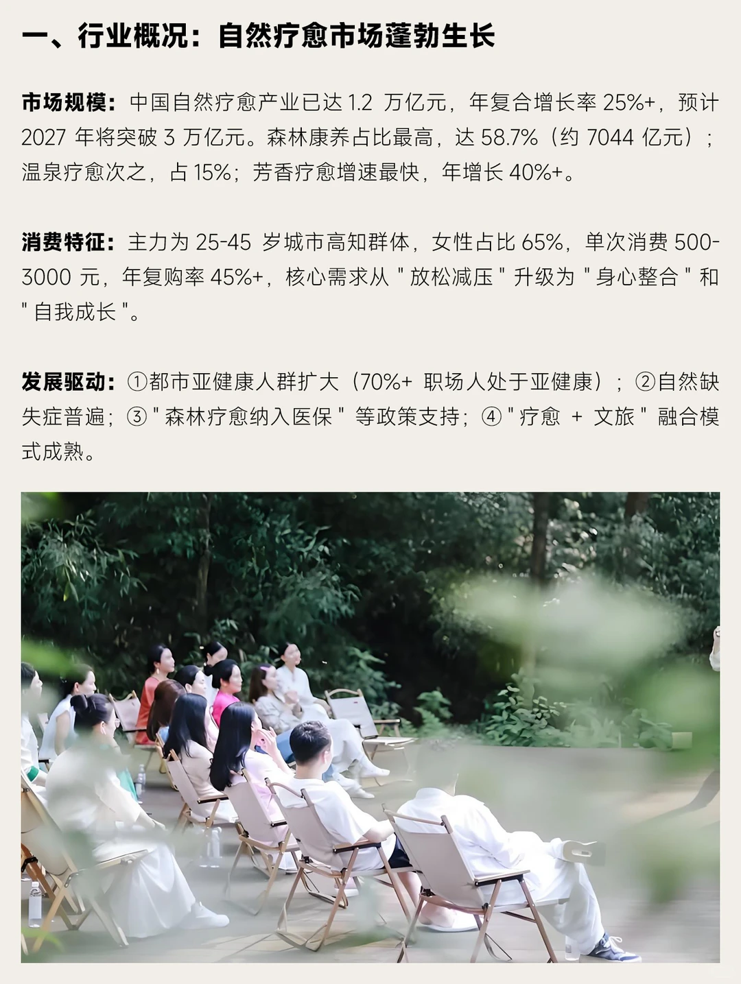 中国十大自然疗愈品牌深度拆解报告