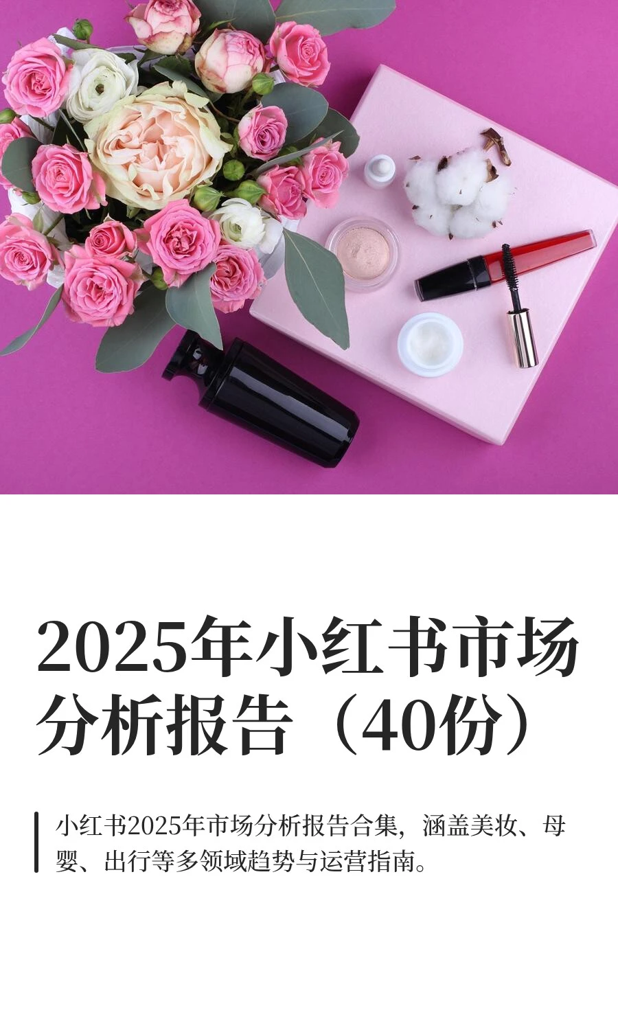 2025年小红书市场分析报告（40份）