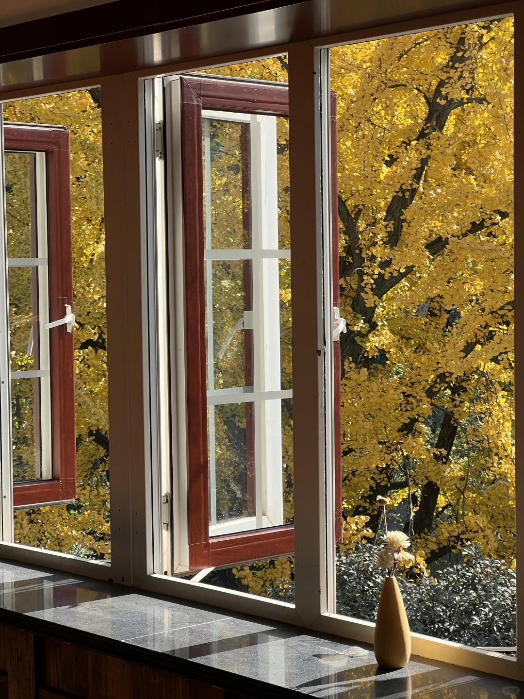 11.29实拍！南京新街口还有这种好地方！免费