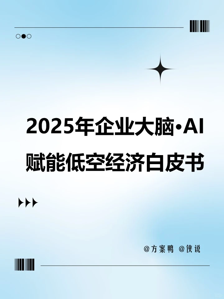 2025年企业大脑·AI赋能低空经济白皮