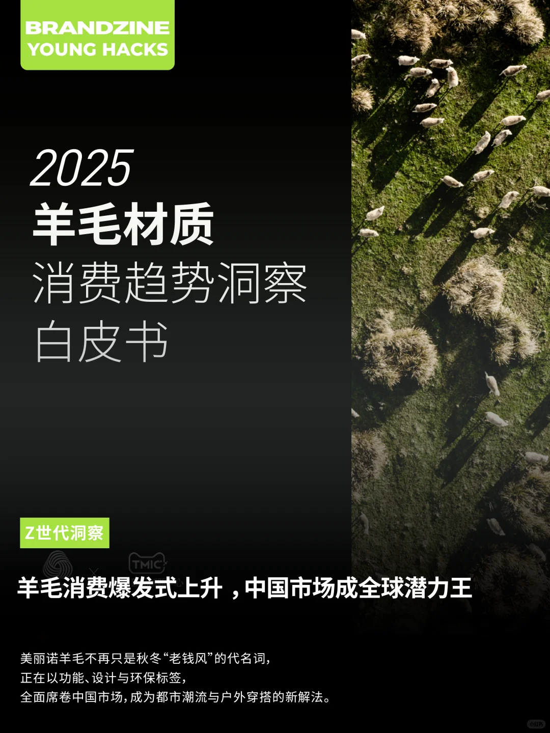 羊毛消费爆发式上升 中国市场成全球潜力王