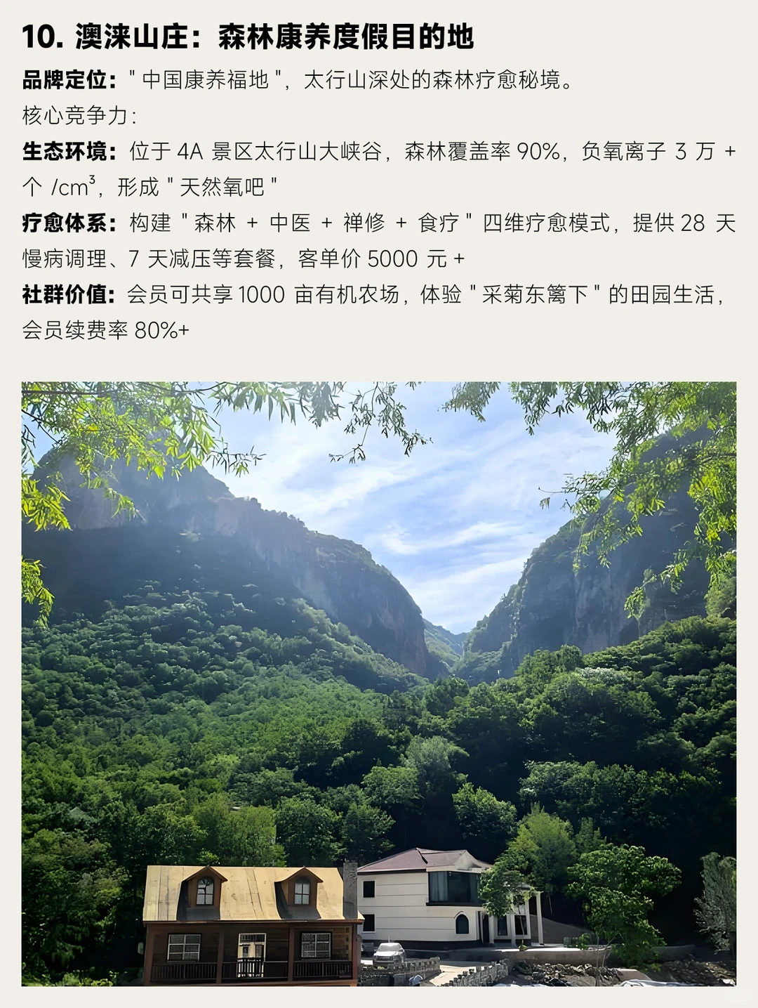 中国十大自然疗愈品牌深度拆解报告