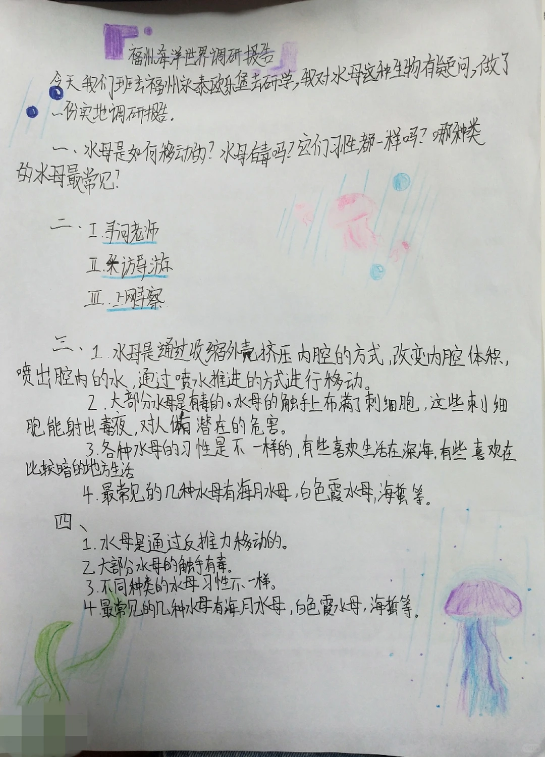 海洋世界研究报告来啦！