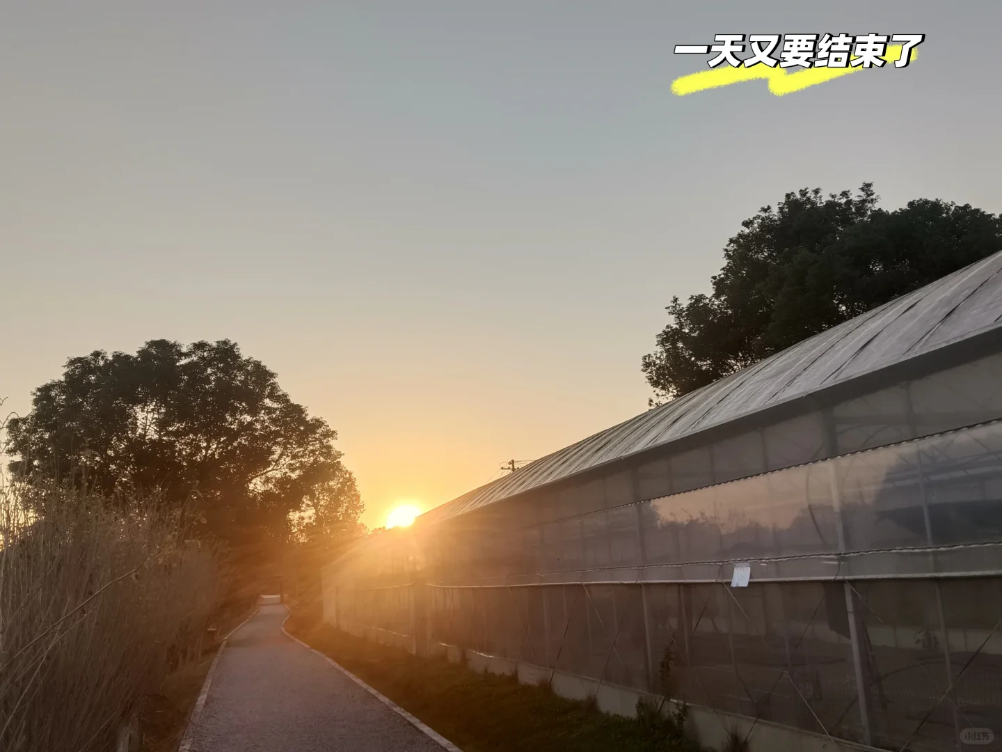 00后进军农业行业的第一年