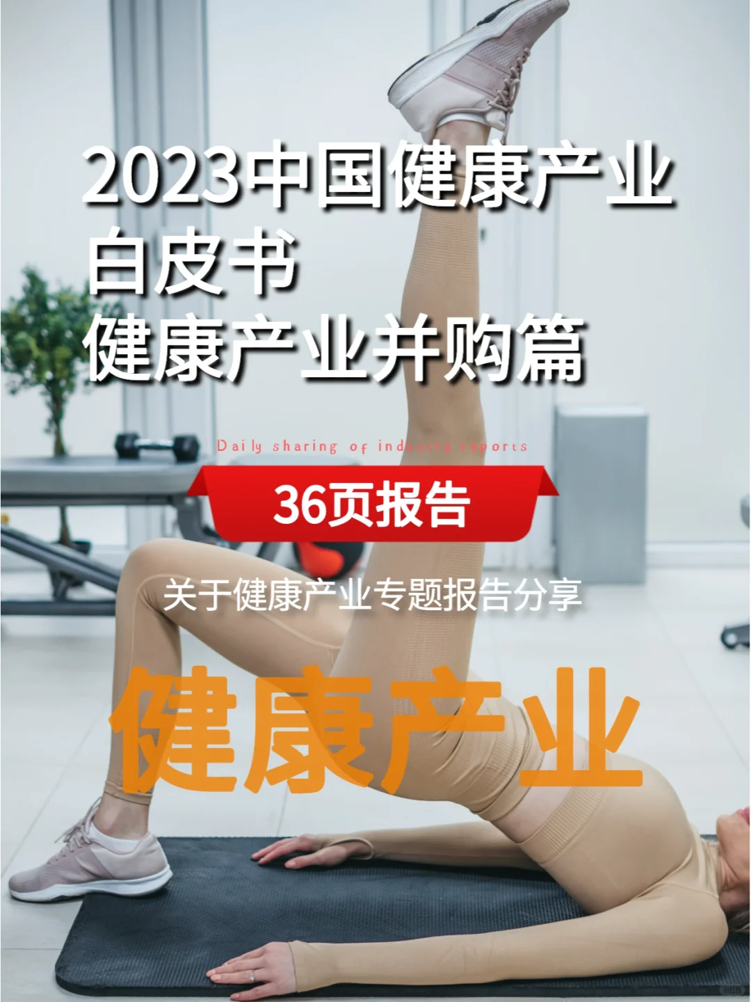 2023中国健康产业白皮书 健康产业并购篇