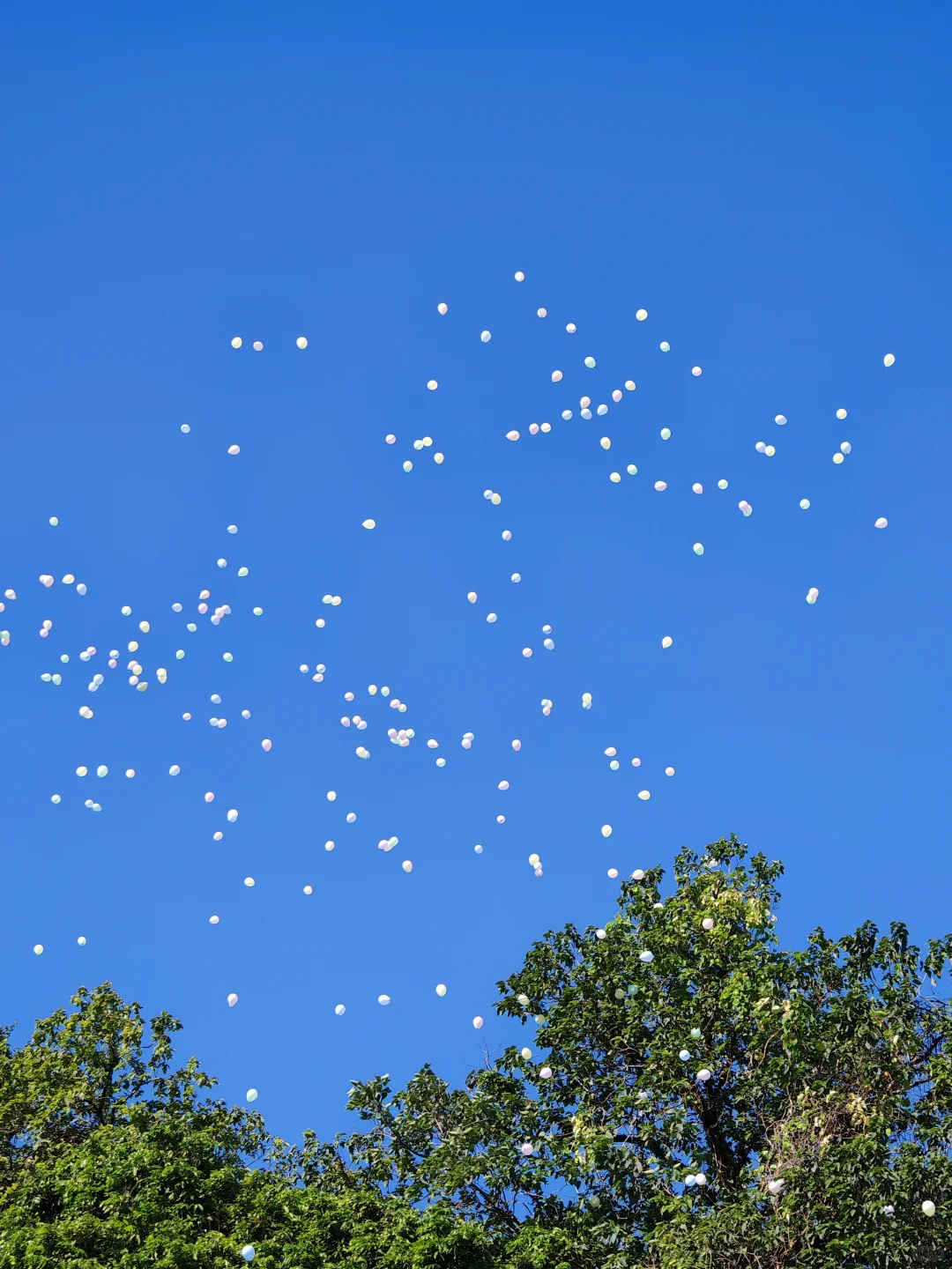 为什么在慢牛市场量化会跑输价投