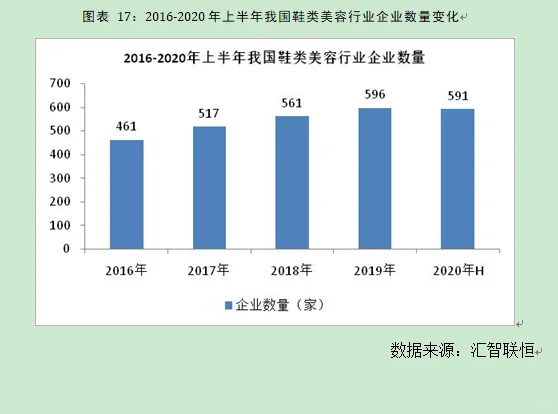 鞋类美容行业市场研究与发展前景预测报告