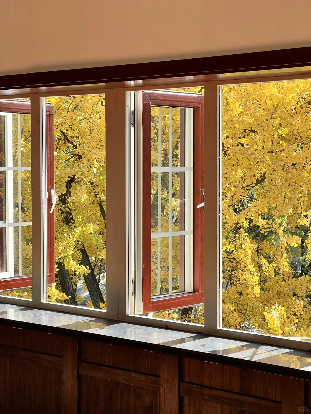 11.29实拍！南京新街口还有这种好地方！免费