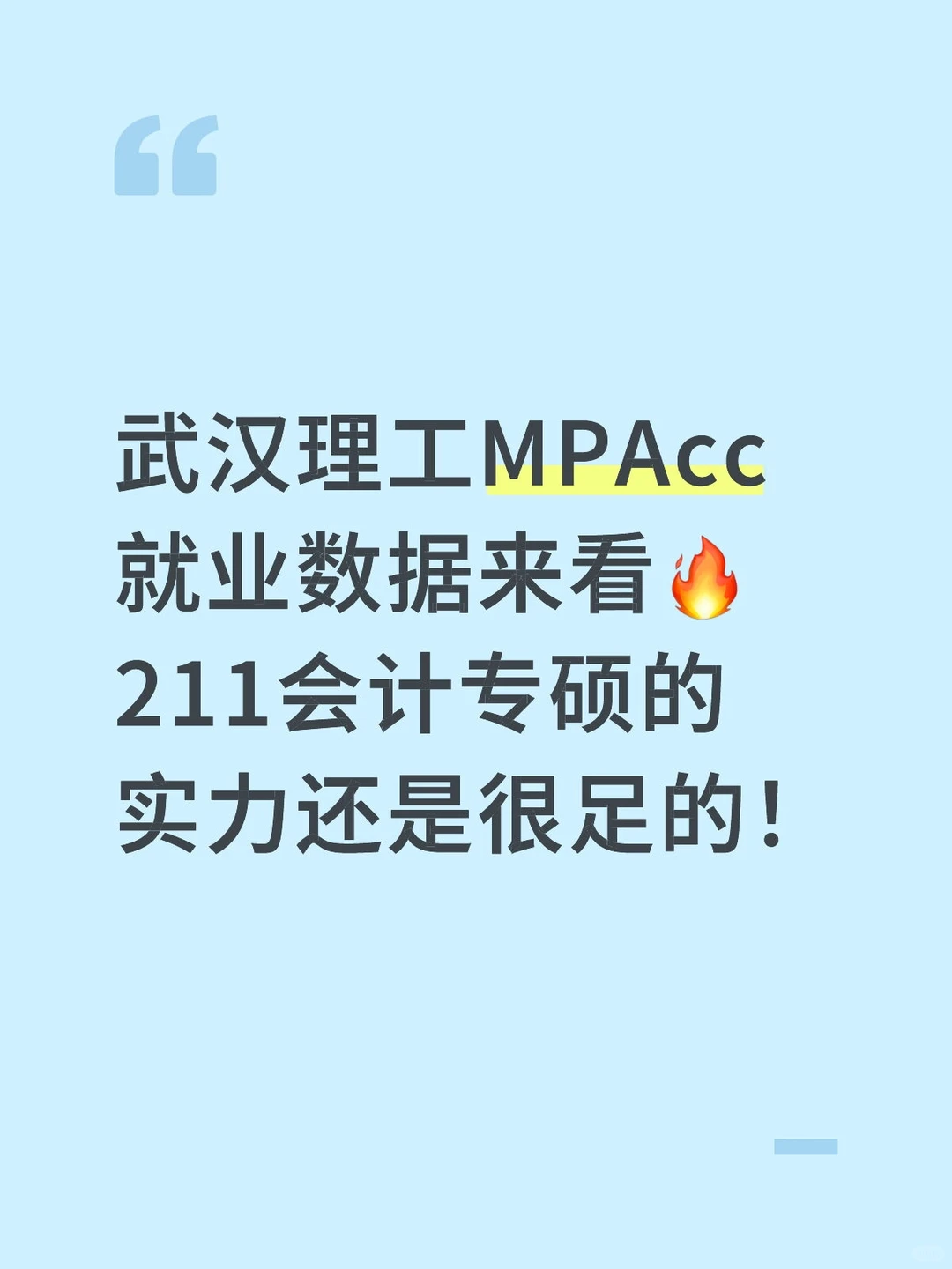 武理MPAcc就业去向