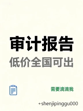 审计报告，低价全国可出，需要滴滴我