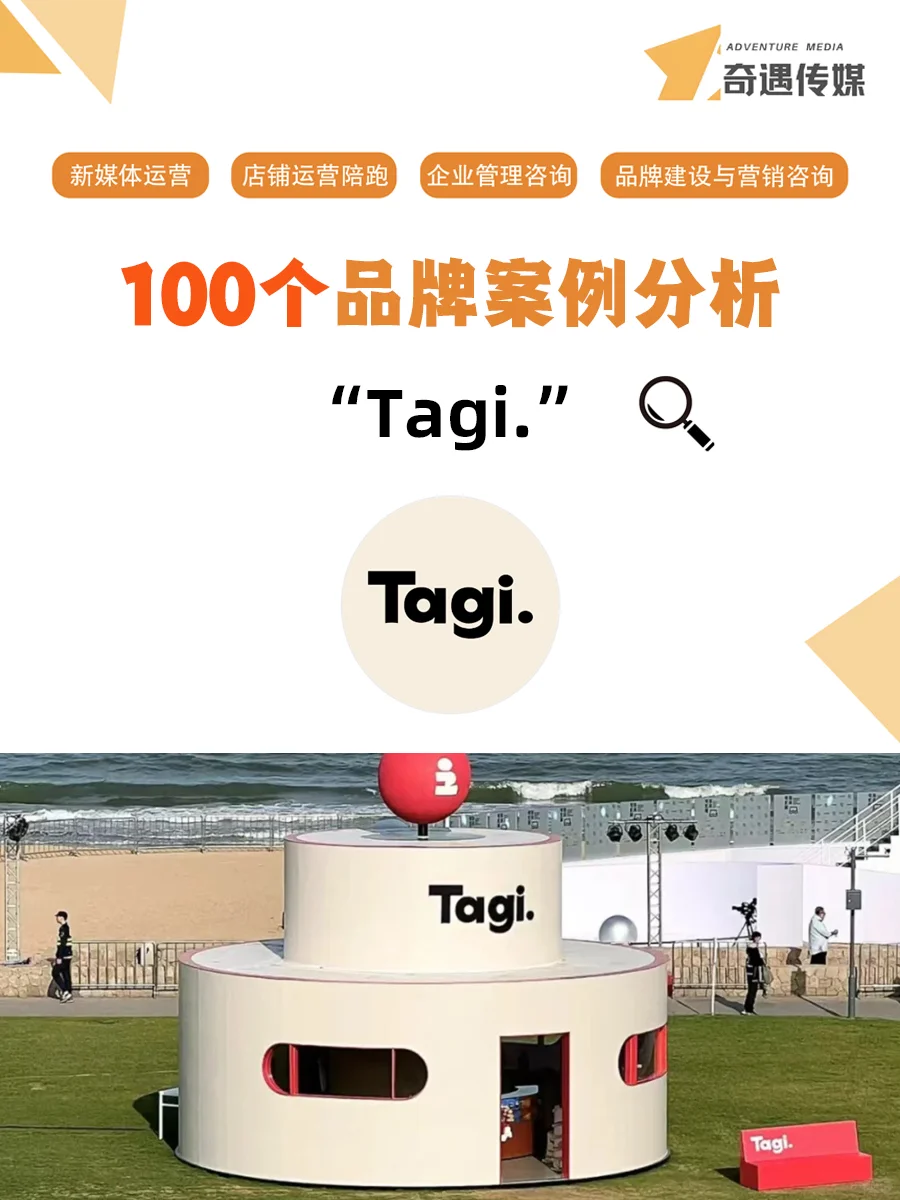 100个品牌案例分析——Tagi.