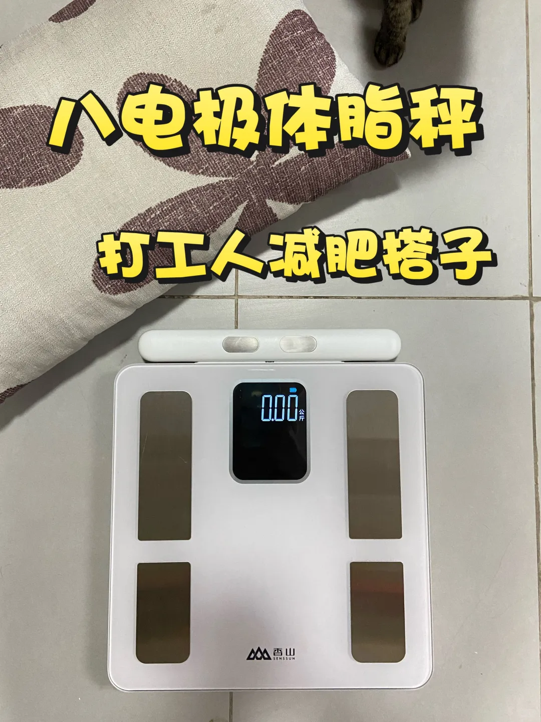 告别身材焦虑！打工人的身材管理神器?