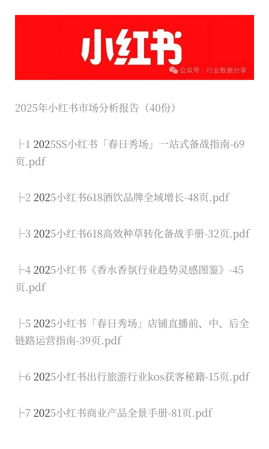 2025年小红书市场分析报告（40份）