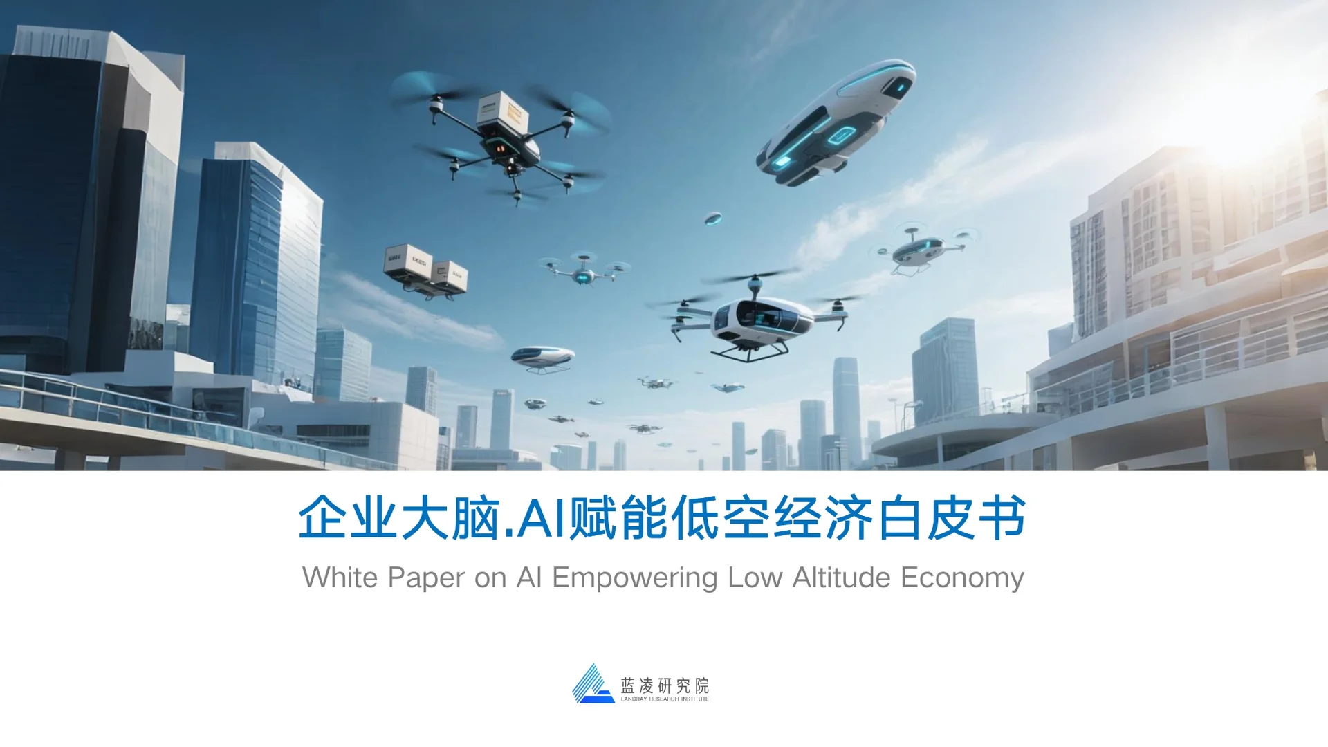 2025年企业大脑·AI赋能低空经济白皮