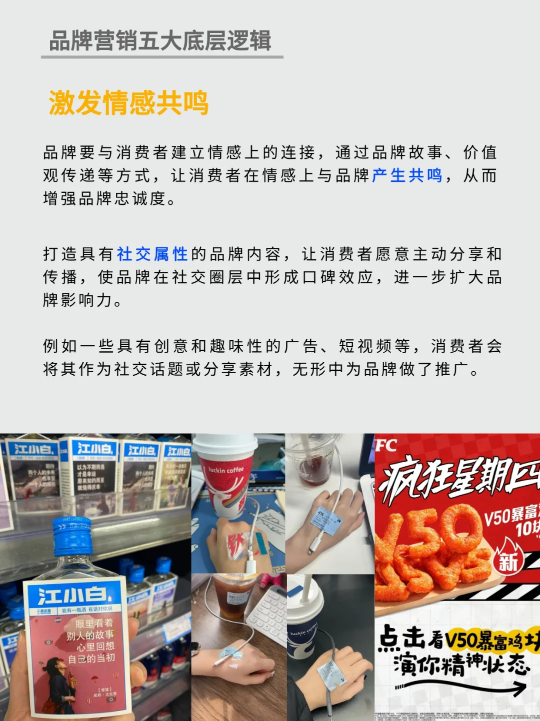 品牌营销只需掌握五大底层逻辑 丨干货