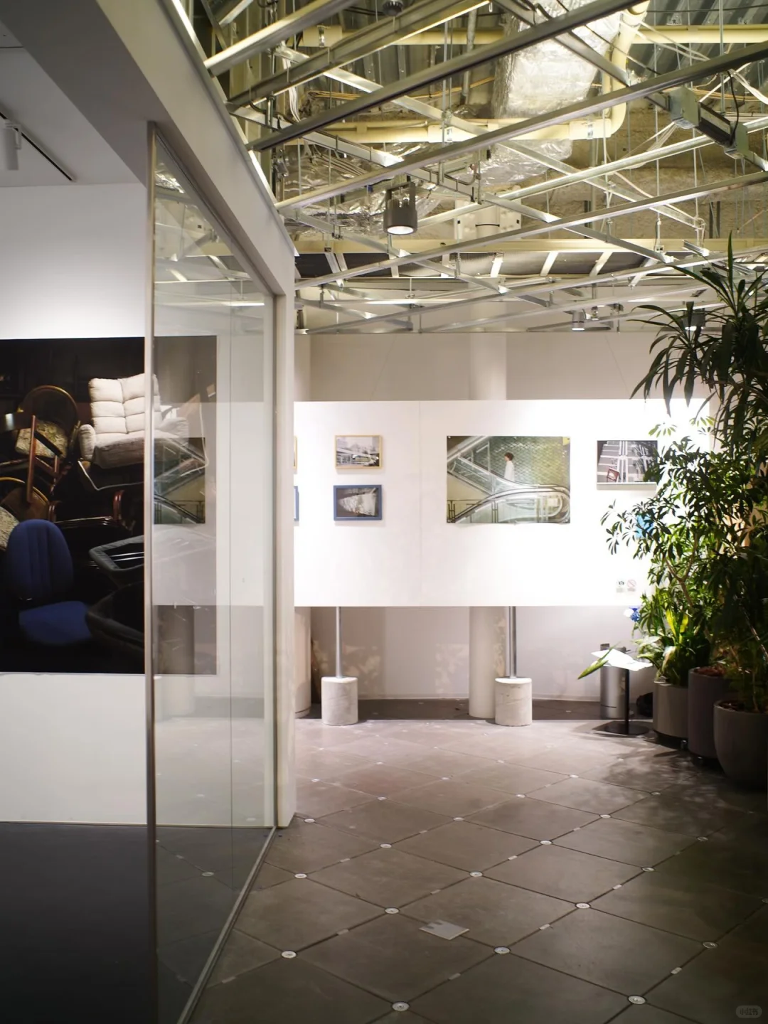 S06 HARAKADO｜公共空间才是流量密码？