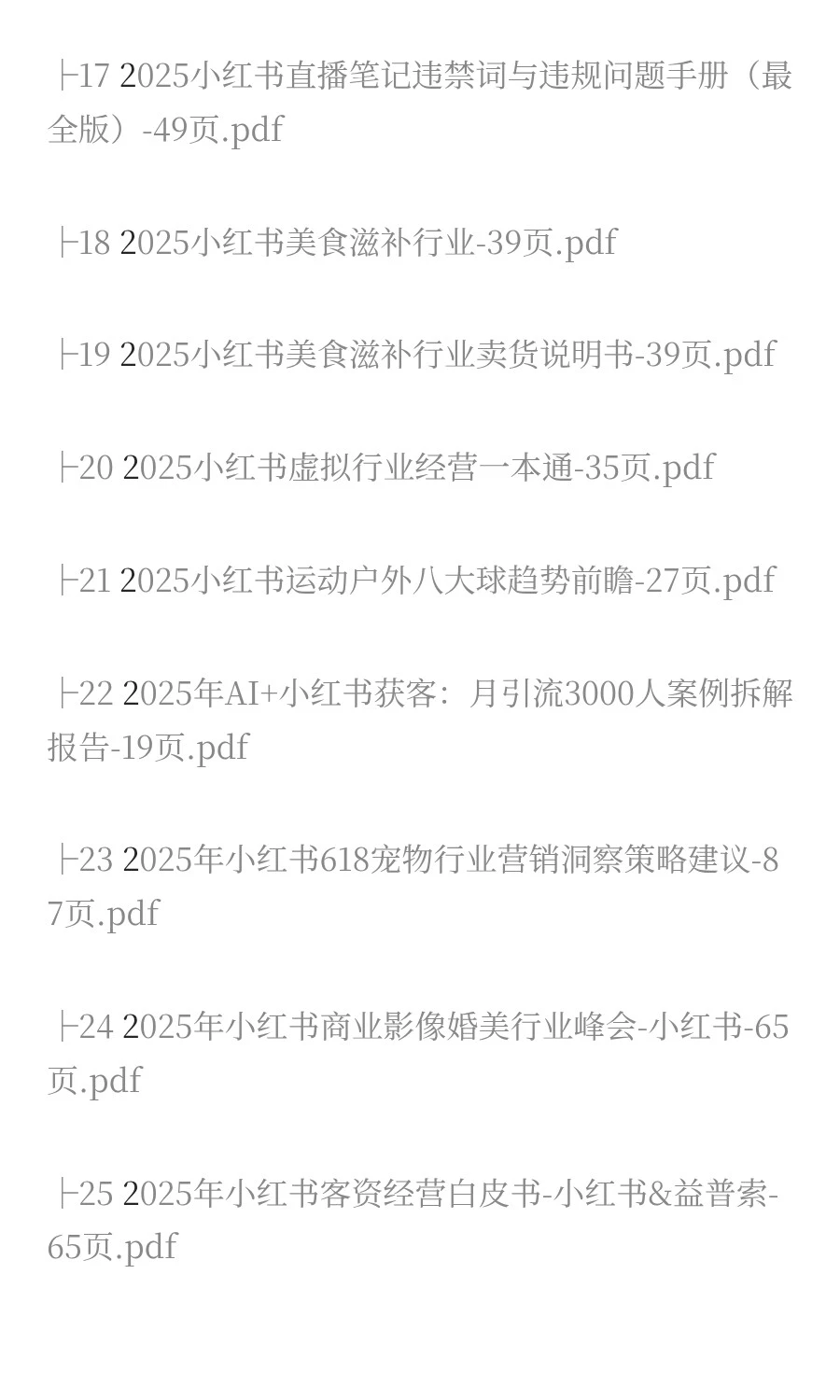 2025年小红书市场分析报告（40份）