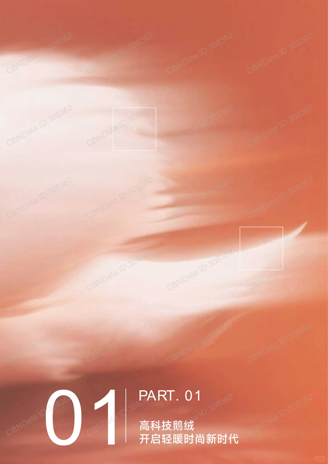 34页|2025年高科技鹅绒行业标准白皮书