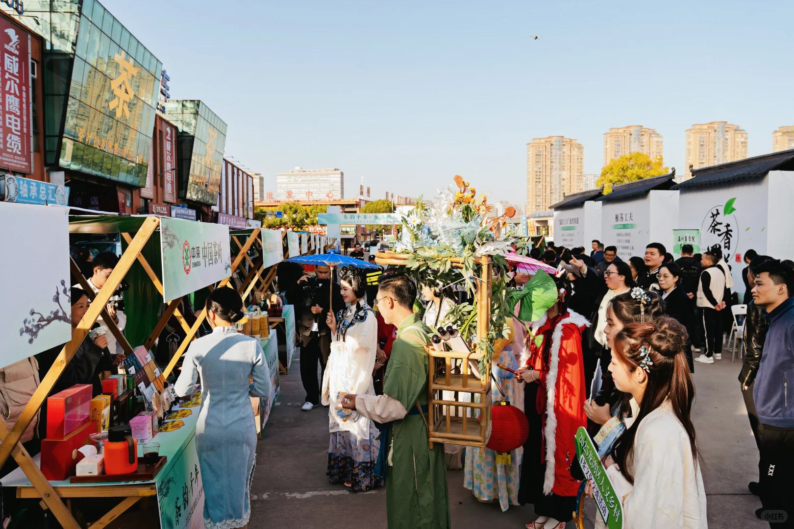 沉浸式茶文化体验,在龙湾“泡”出来了!