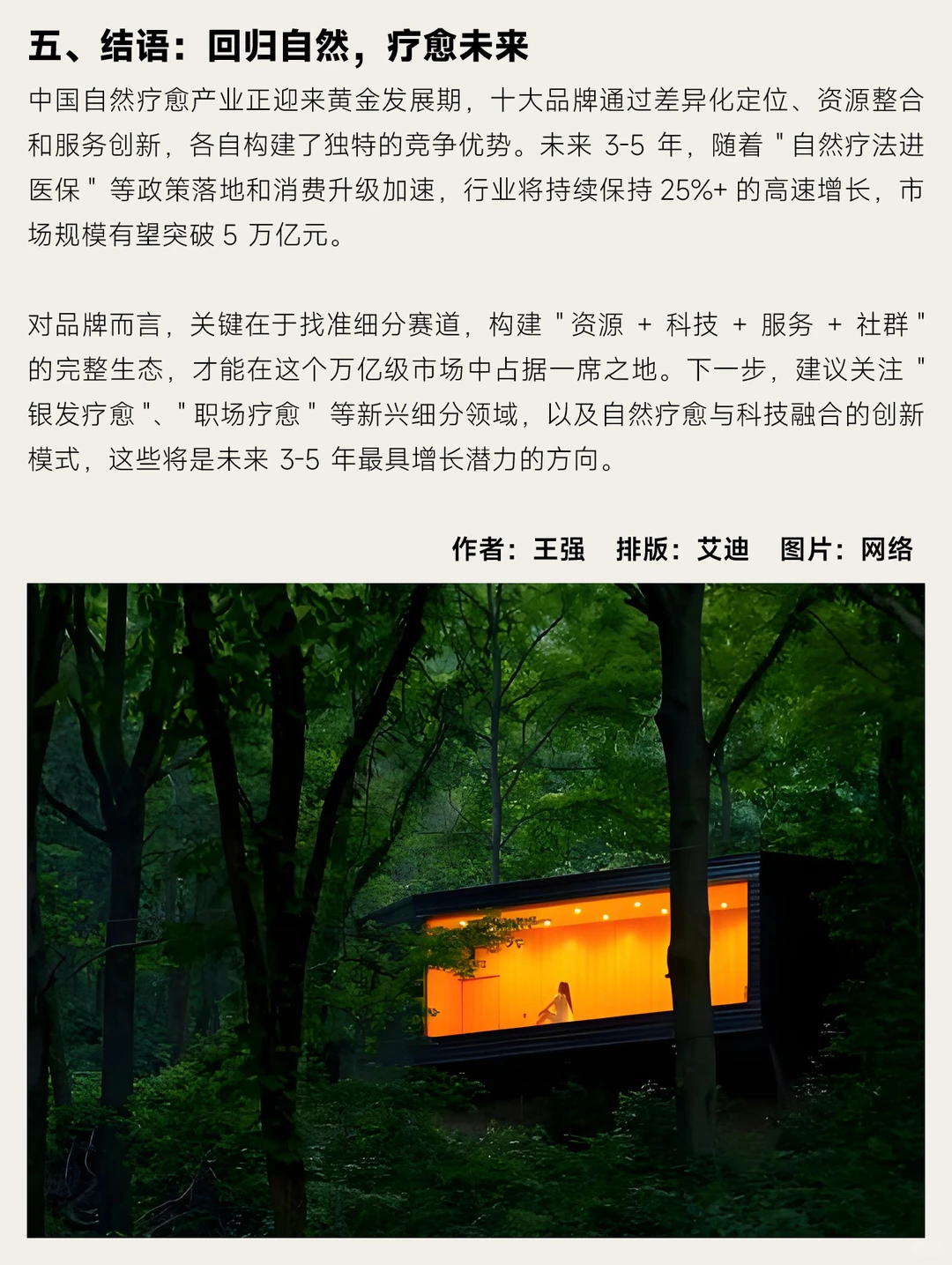 中国十大自然疗愈品牌深度拆解报告