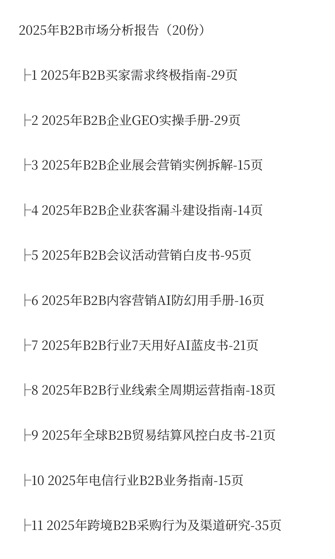 2025年B2B市场分析报告（20份）