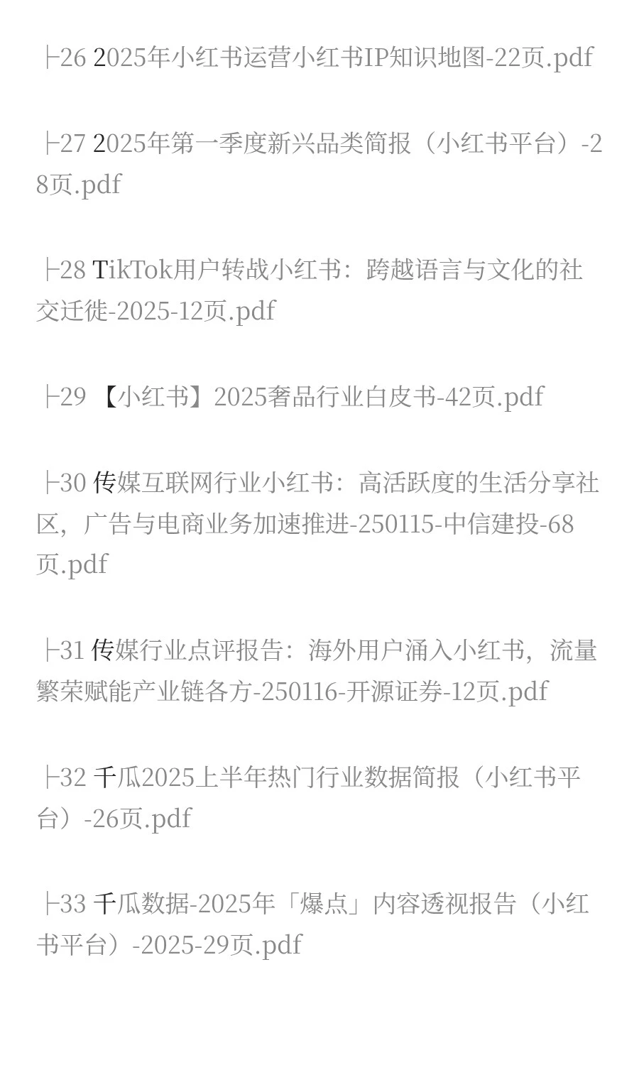 2025年小红书市场分析报告（40份）