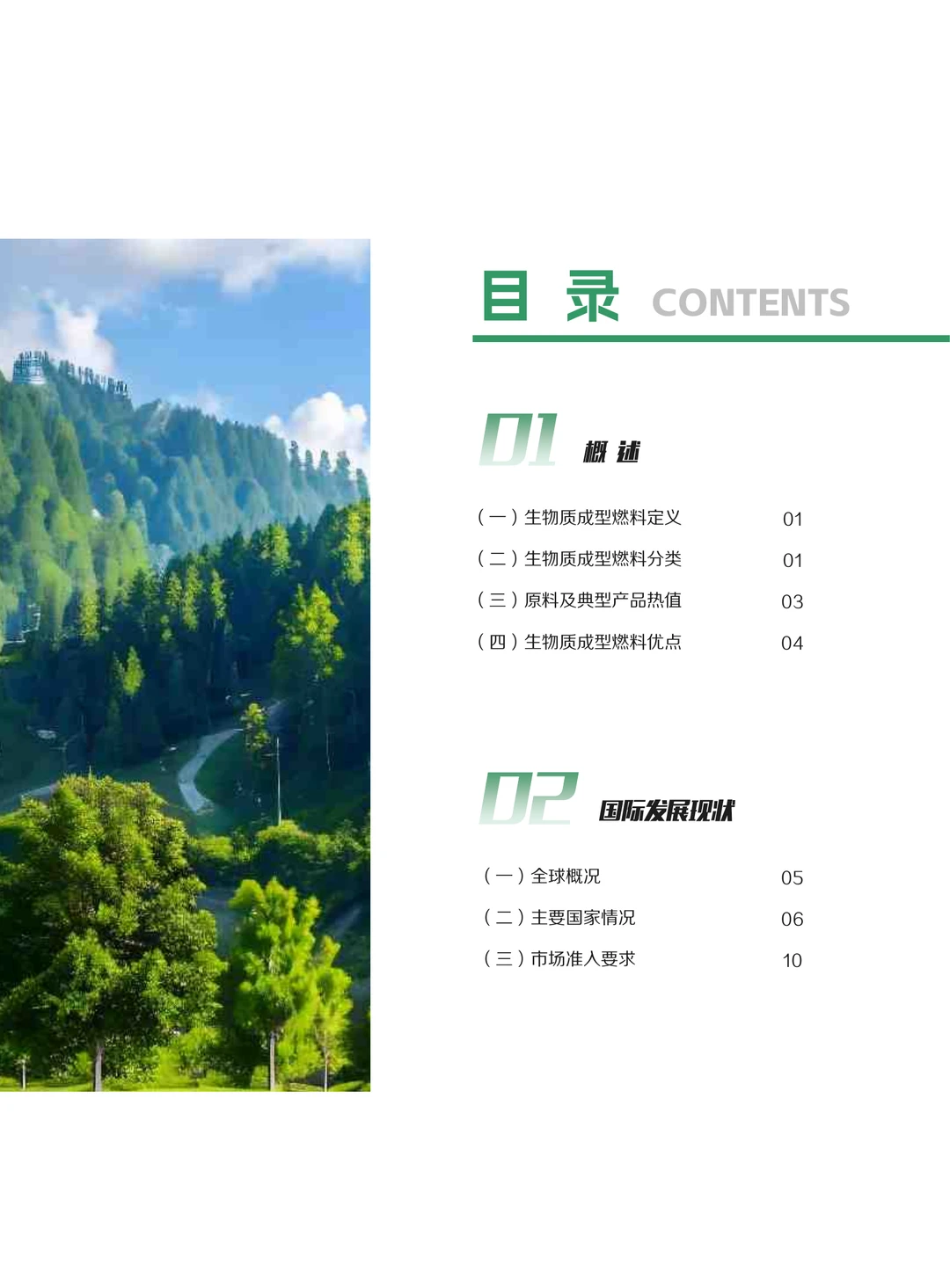 29页|2025中国生物质成型燃料产业发展报告