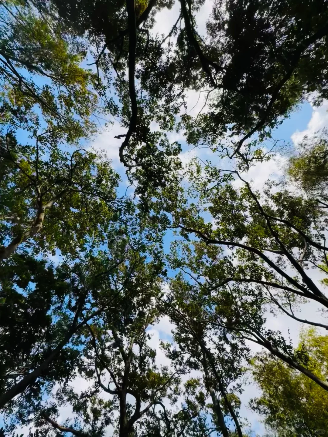 不怕大家笑话，本二级牛马写报告进入了心流