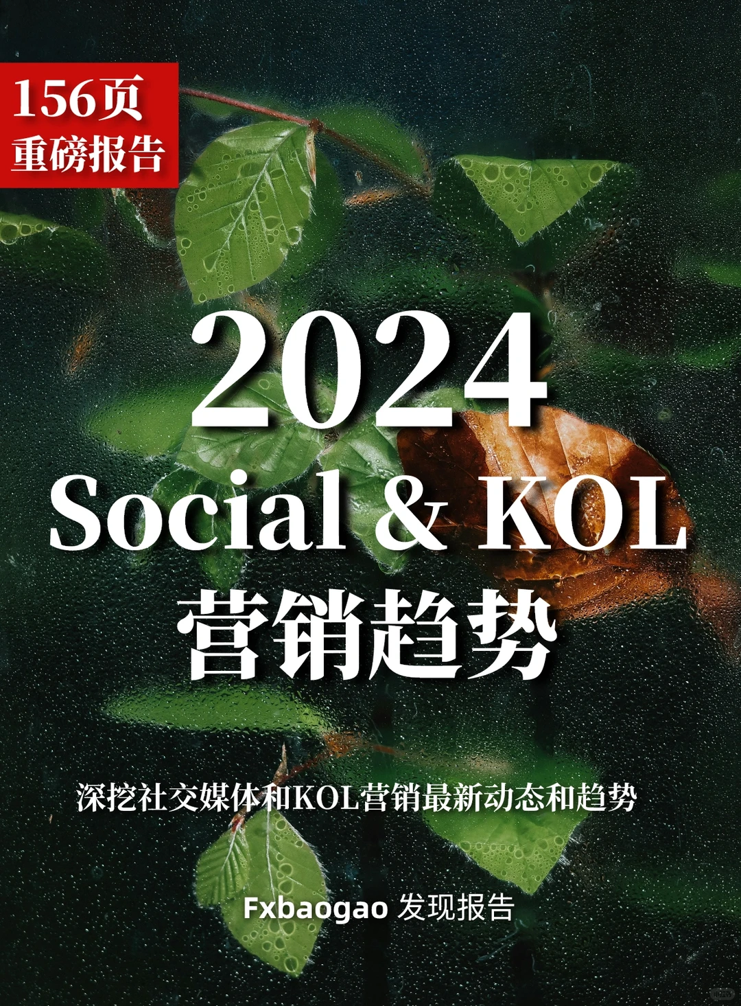 156页报告｜2024 Social & KOL 营销趋势报