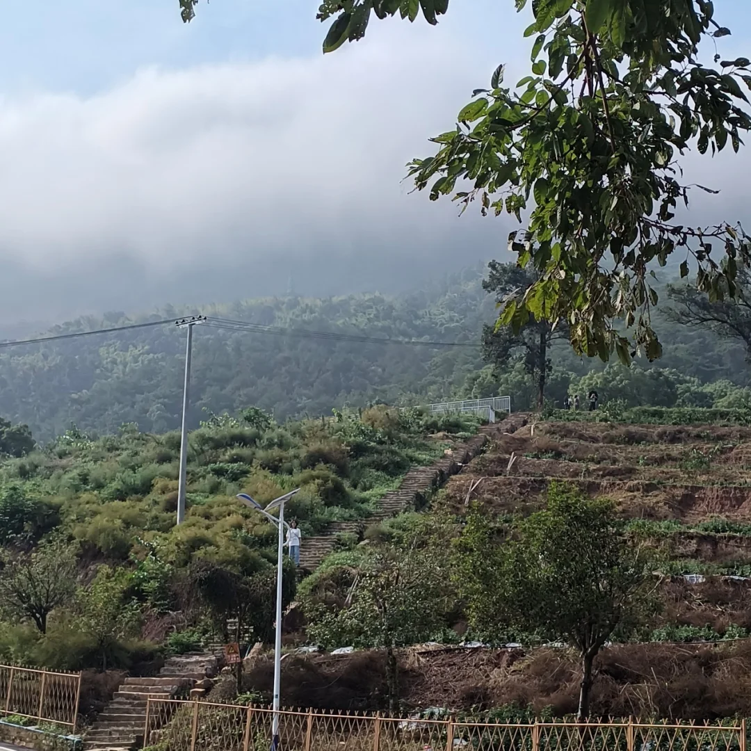 法学种田人：“本草花创谷”新玩法