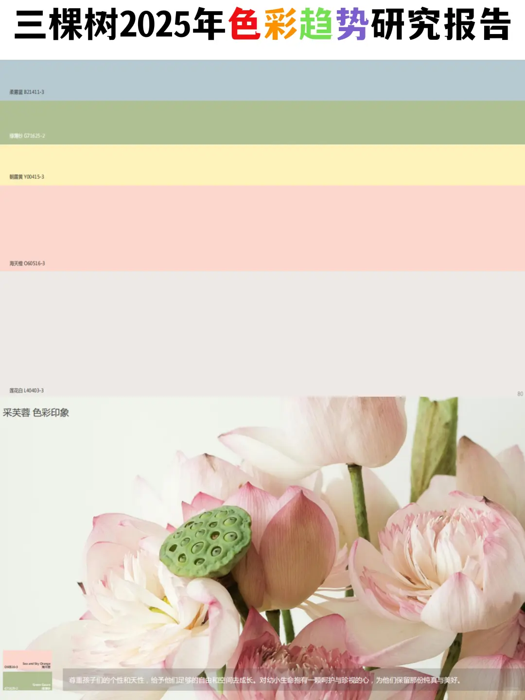 三棵树2025年色彩趋势研究报告