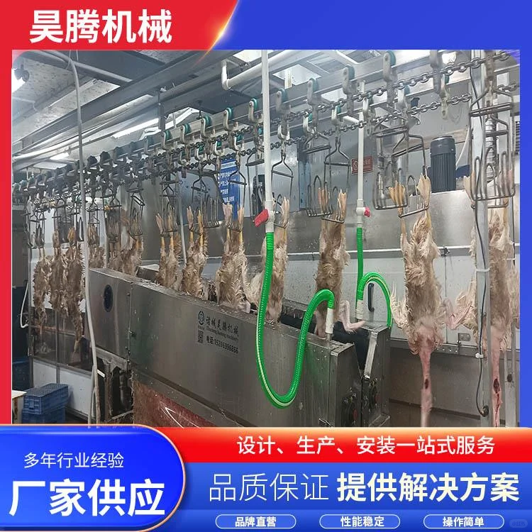 贵州流水线头颈脱毛机厂家白皮书