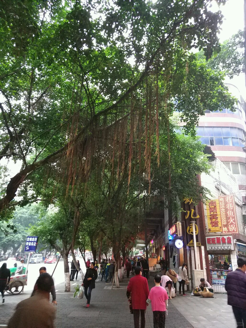 从涪陵看川渝经济，永不落幕的国内大市场