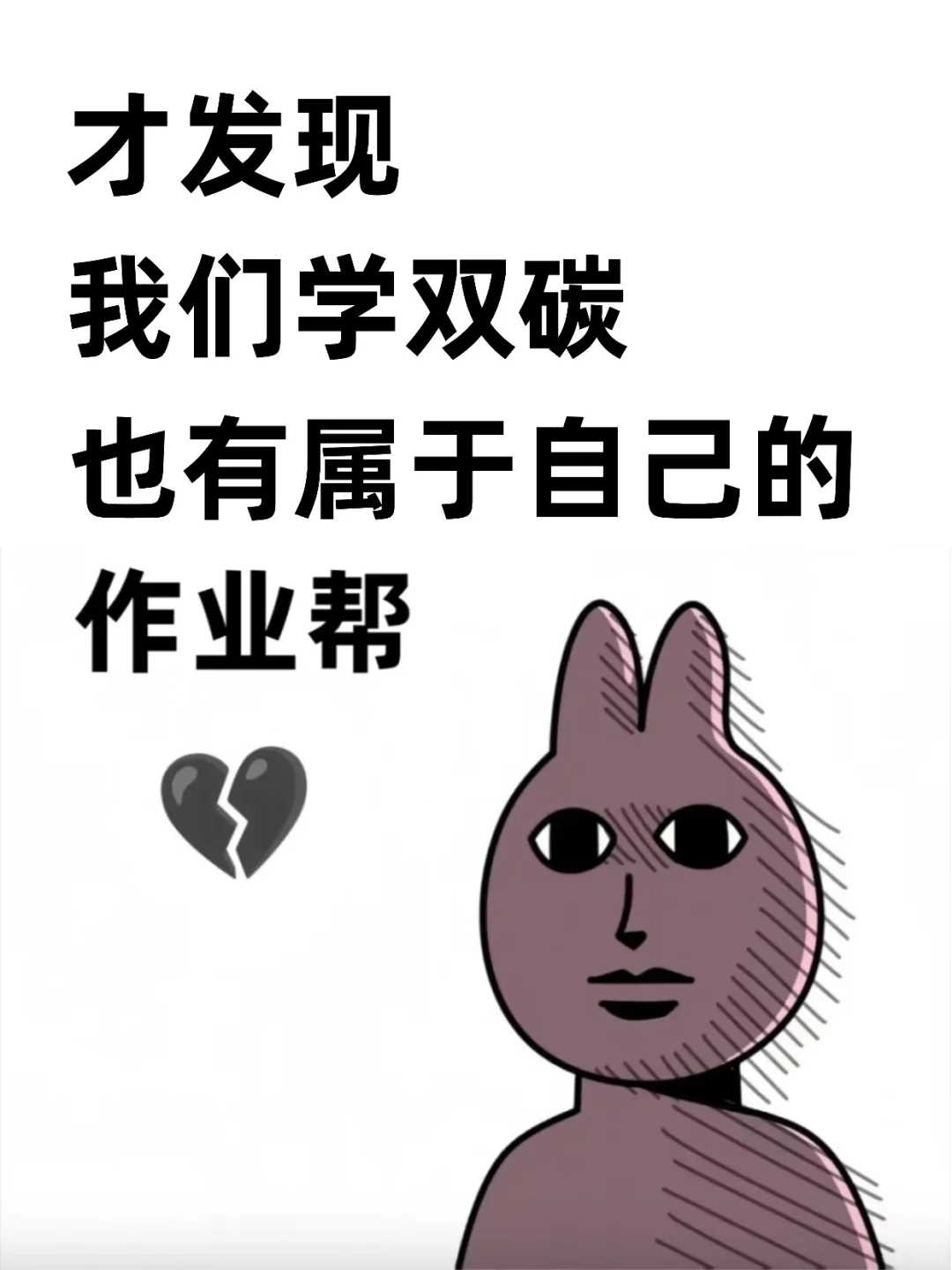 才发现我们双碳人也有属于自己的作业帮啊