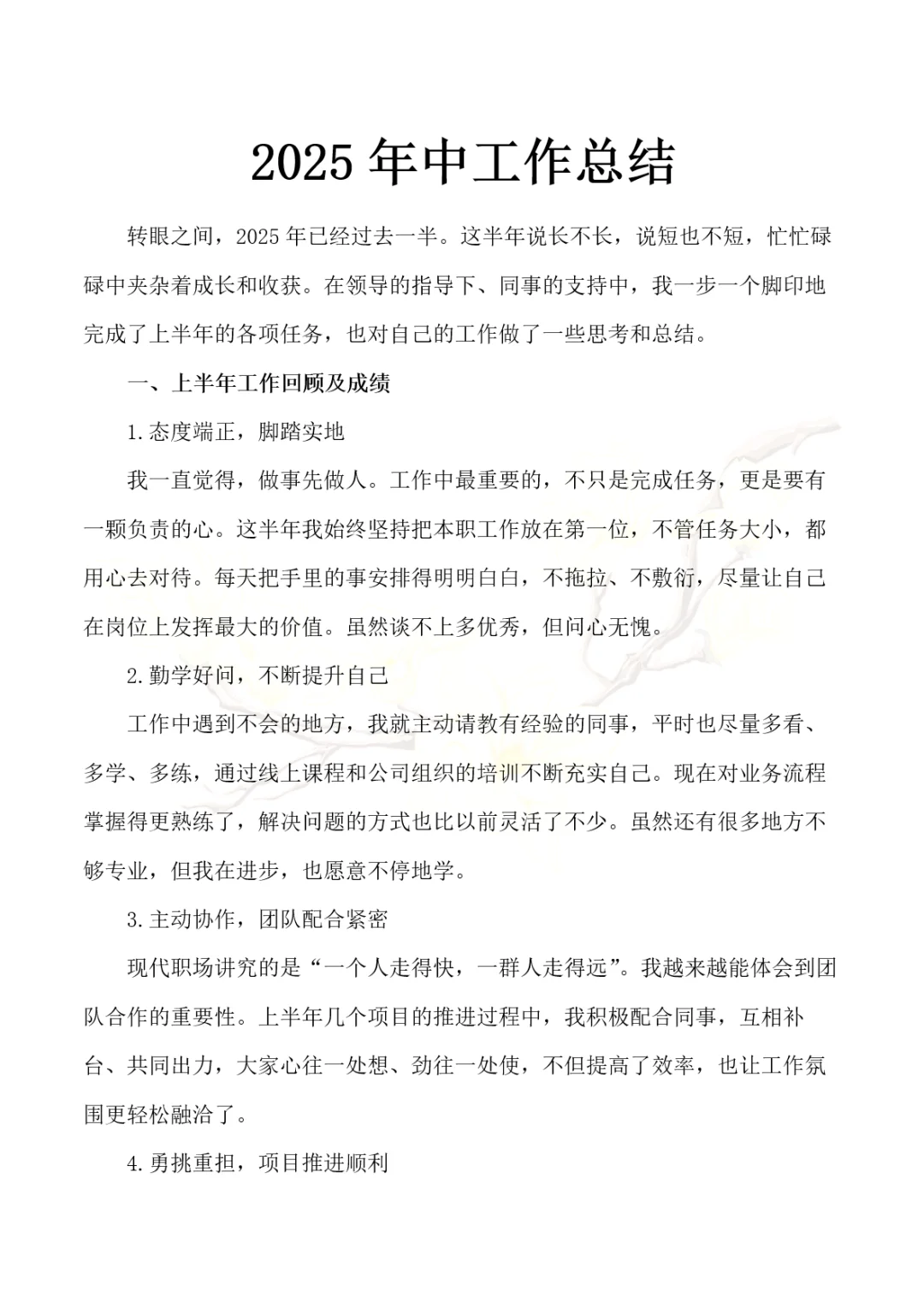 2025年中工作总结