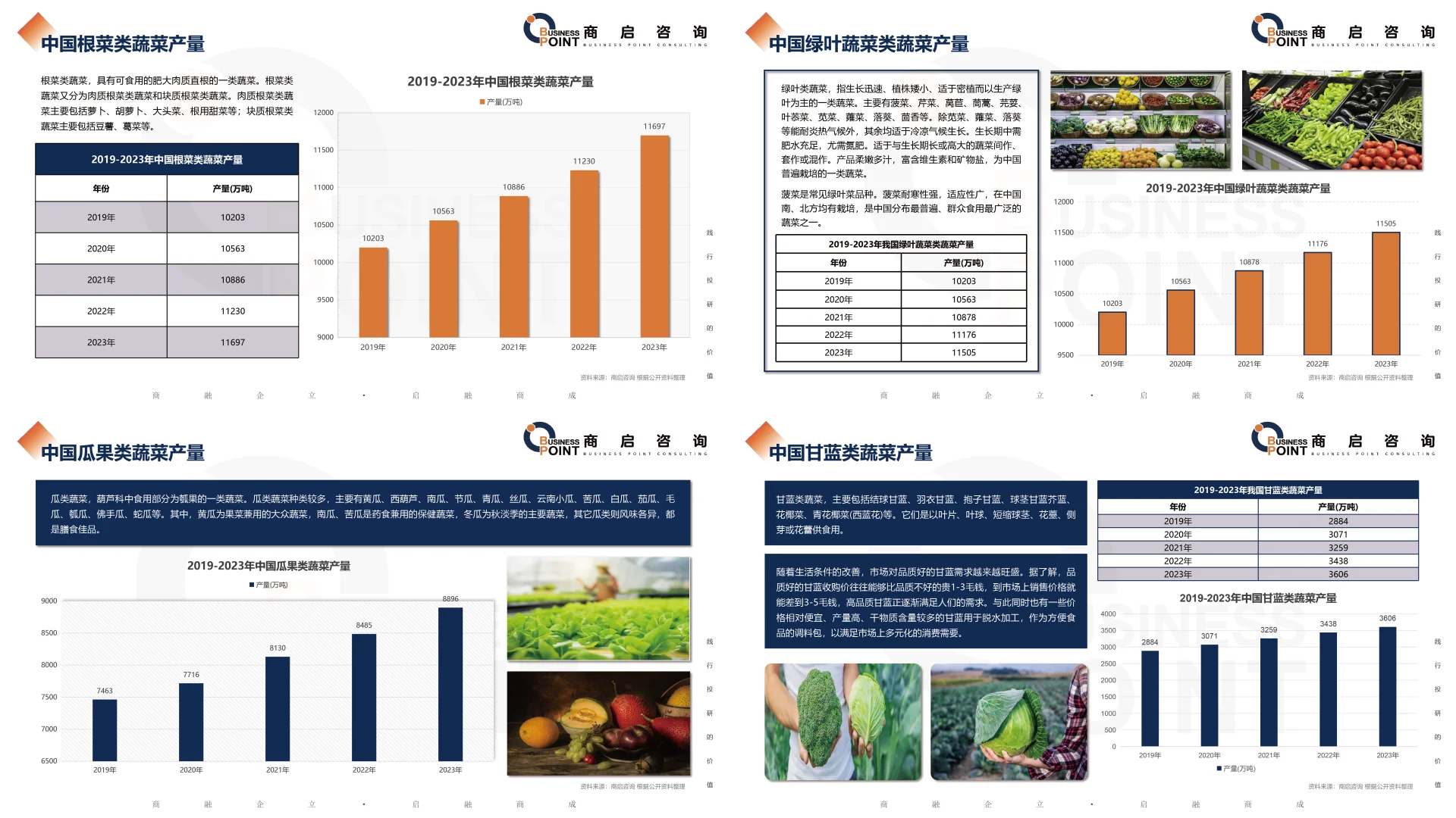 ? 商启咨询 蔬菜产业研究报告