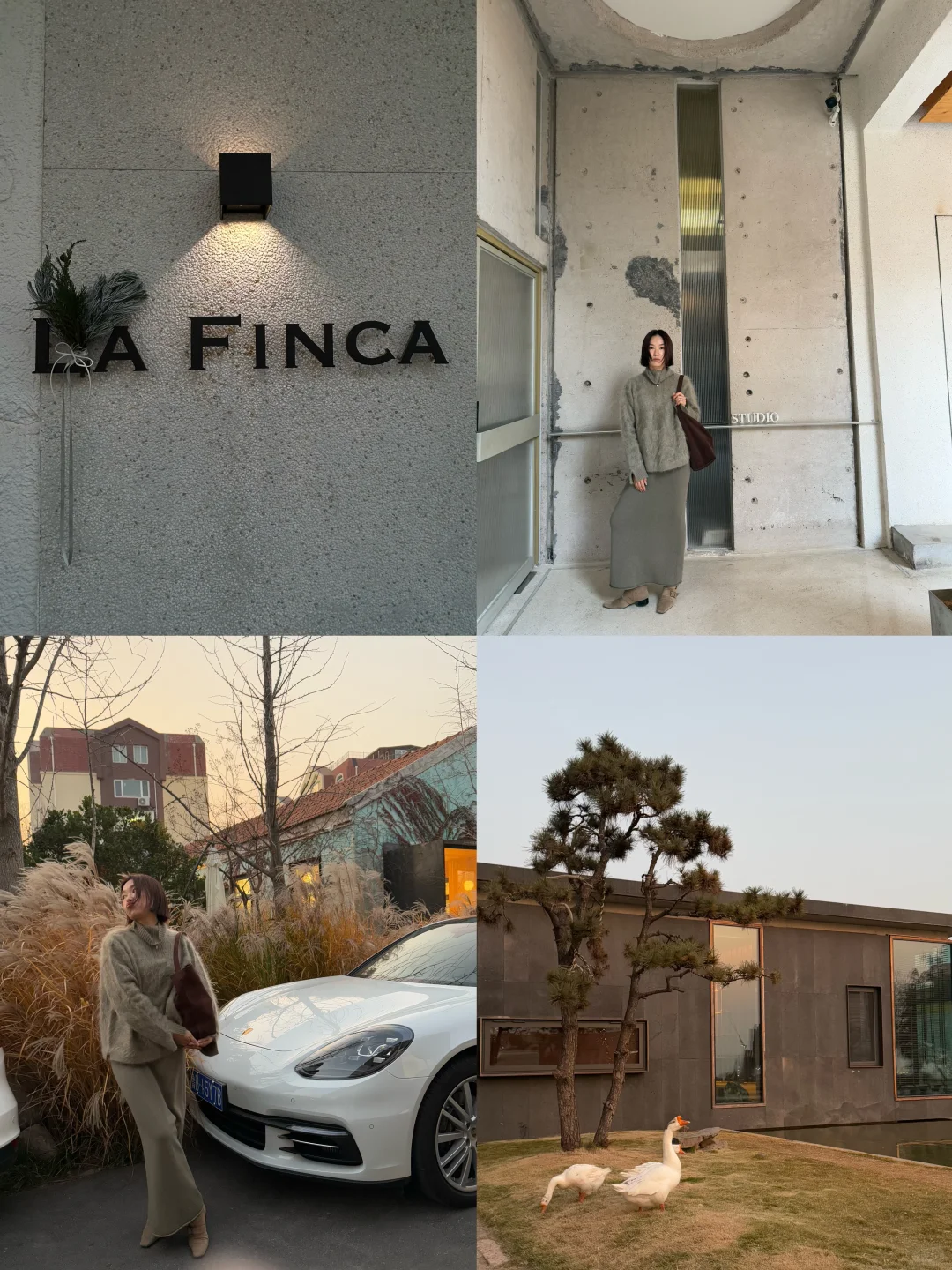 才感秋来 忽而已冬