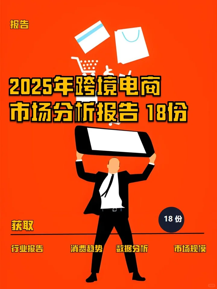 2025年跨境电商市场分析报告 18份