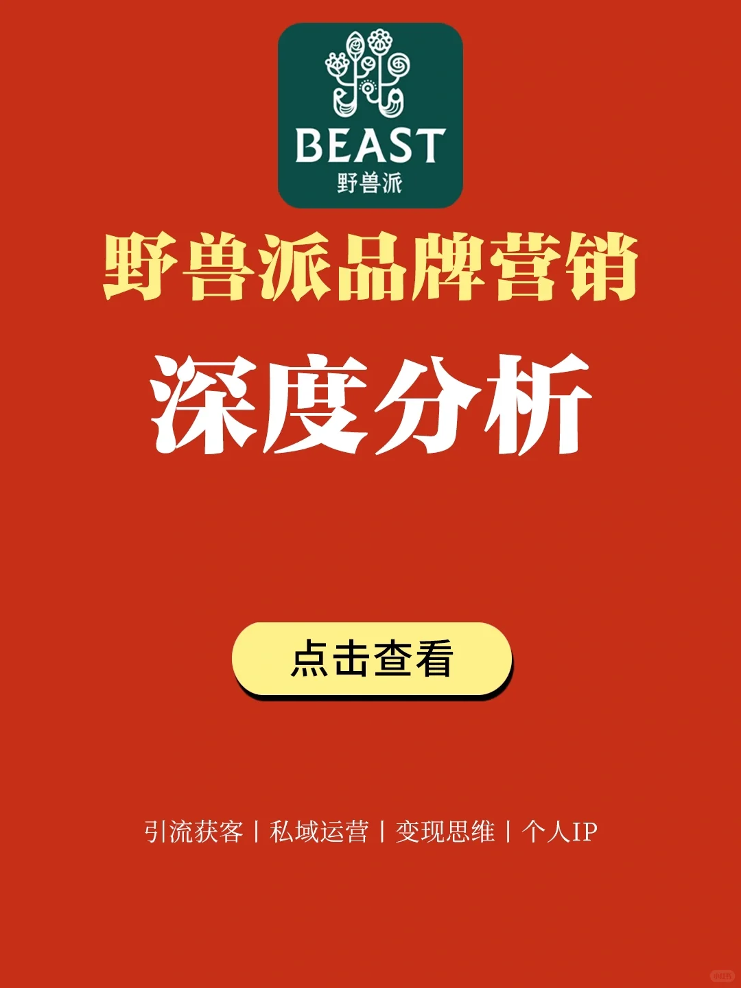 案例拆解丨野兽派品牌营销深度分析?