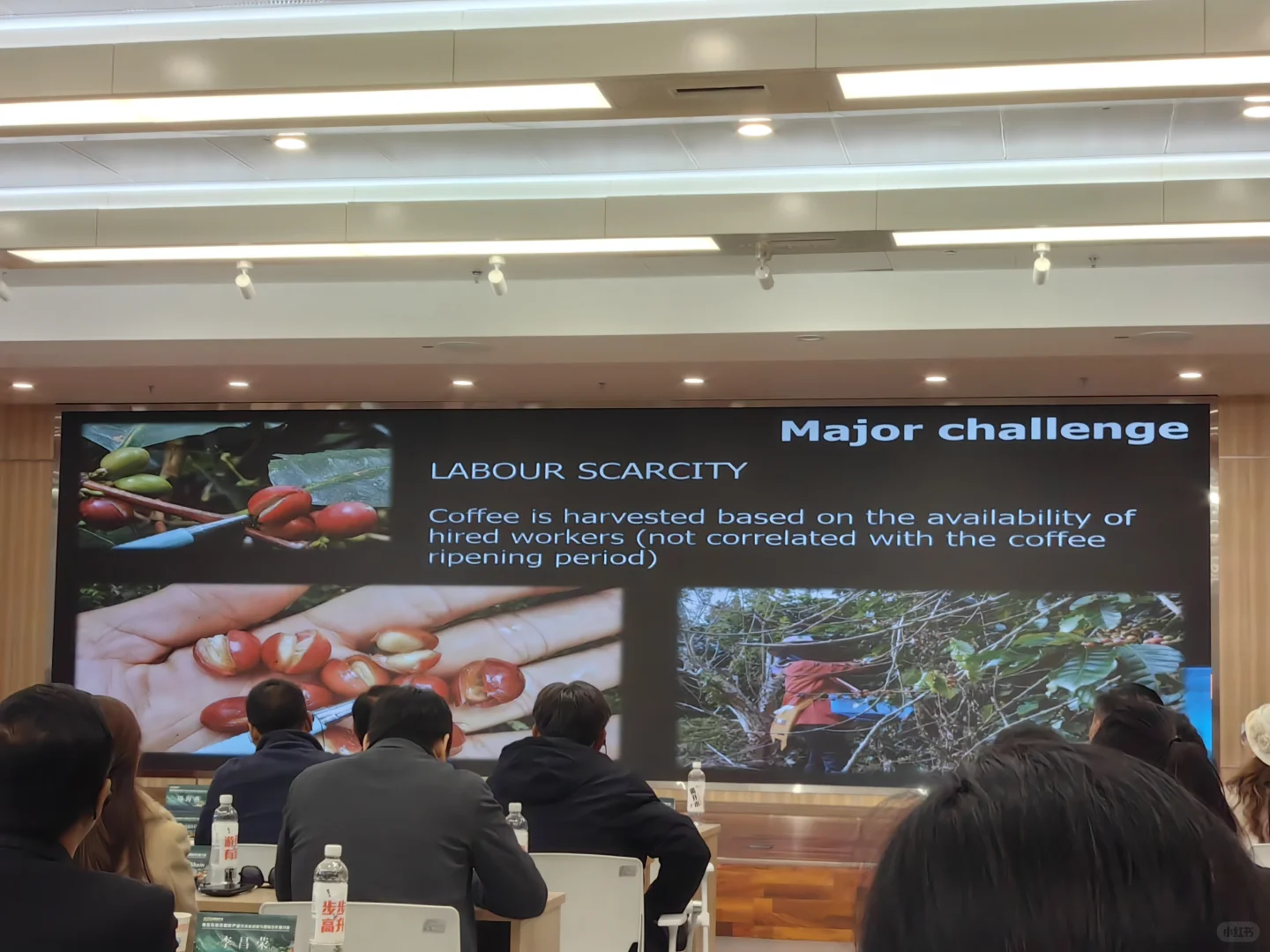 南亚东南亚咖啡发展论坛总结