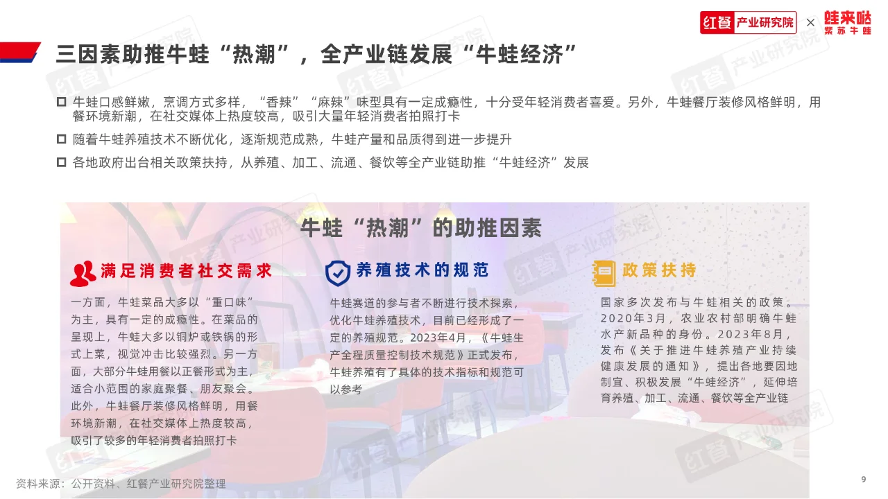 牛蛙品类发展报告2023