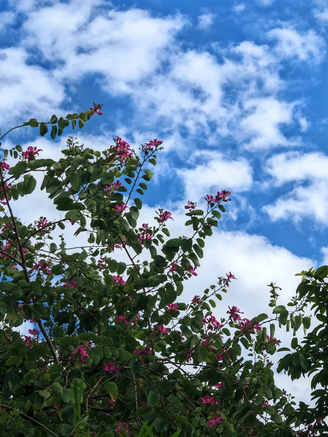 为什么在慢牛市场量化会跑输价投