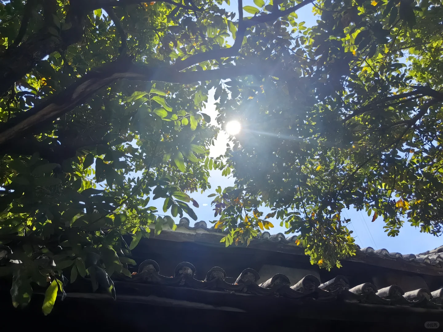 农业早已不是以前的农业